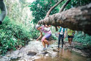 BIB: 
                            <button type="button" onclick="openModal(25372764)" class="btn btn-primary btn-sm float-right btn-popup" data-toggle="modal" data-target=".modal-high-quality">
                        <i class="fas fa-shopping-cart"></i> Add to Cart
                    </button>
                                            <button type="button" onclick="isThisMe(25372764, true)" class="btn btn-success btn-sm float-right btn-popup btn-isme hidden" data-toggle="tooltip" data-placement="bottom" title="นี่คือรูปของคุณใช่ไหม คลิกที่นี่เพื่อเอาเข้าอัลบั้ม">
                        <i class="fas fa-plus"></i> Add to album
                    </button>
                    <button type="button" onclick="isThisMe(25372764, false)" class="btn btn-warning btn-sm float-right btn-popup btn-isnotme hidden">
                        <i class="fas fa-ban"></i> Remove from album
                    </button>